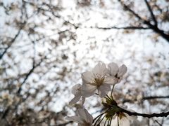 -龙美术馆(西岸馆)