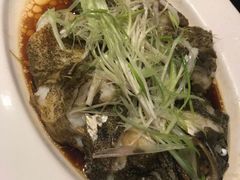 -富临饭店阿一鲍鱼