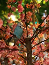 -酷嗒动物文化乐园(cutezoo西溪乐天城店)