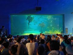 -常州海昌海洋探索馆