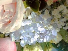 -循礼门鲜花花市(武汉循礼门店)