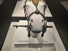 -秦始皇帝陵博物院-丽山园