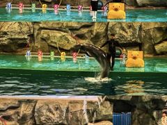 -威海华夏城景区