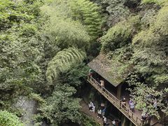 -莫干山风景区