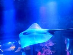 -沈阳海洋探索中心