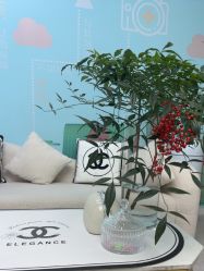 -斐尔国际皮肤管理中心