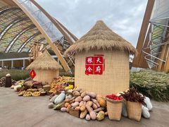 -中国天府农业博览园