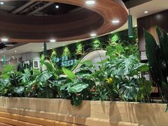 -云海肴·云南小炒·汽锅鸡(曲江大悦城店)