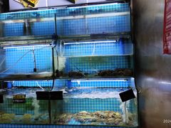 -老东镇啤酒屋海鲜加工·蒸汽海鲜·海鲜烧烤(台东店)