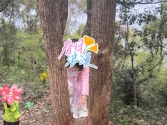 -上海佘山国家森林公园天马山园