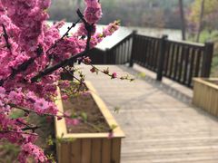 -大连外国语大学(旅顺校区)