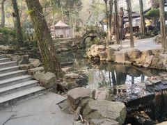 -兴福老面馆(寺路街店)