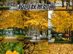 -中央民族大学