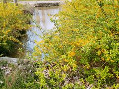 -合肥滨湖国家森林公园