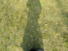 -重庆市江北嘴中央商务区中央公园