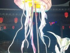 -厦门园林博览苑