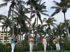 -渔家火锅·海鲜自助餐·演艺(亚龙湾天域酒店)