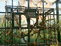 -北马山庄植趣咖啡