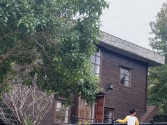 -金山农民画村-枫泾波兰倒置屋