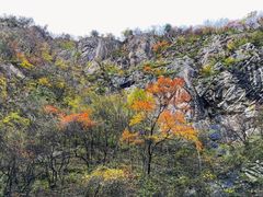-秦岭风景区