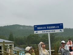 -莫尔道嘎国家森林公园