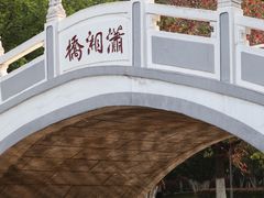 -宝岛公园