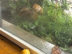-花迹(富春江东街店)