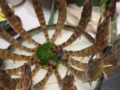 -红鼎豆捞·非遗鲍皇汤火锅(宝丰路店)