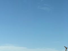 -哈密雅丹大海道景区