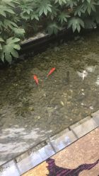 点击看大图 -颐和尚景酒店·宴会厅(园林生态酒店)