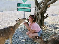 -鹿境梅花鹿生态园区