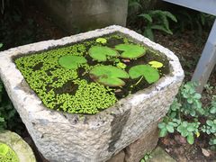 -谷咖啡·鲜花绿植花园餐厅