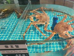 -百富源·海鲜辽菜(张士店)