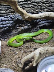 -酷嗒动物文化乐园(cutezoo西溪乐天城店)