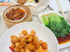 -金鼎轩(方庄天坛店)