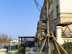 -Steveston Pizza Company (Richmond)