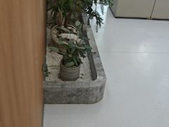 -优诺口腔(华东总院)