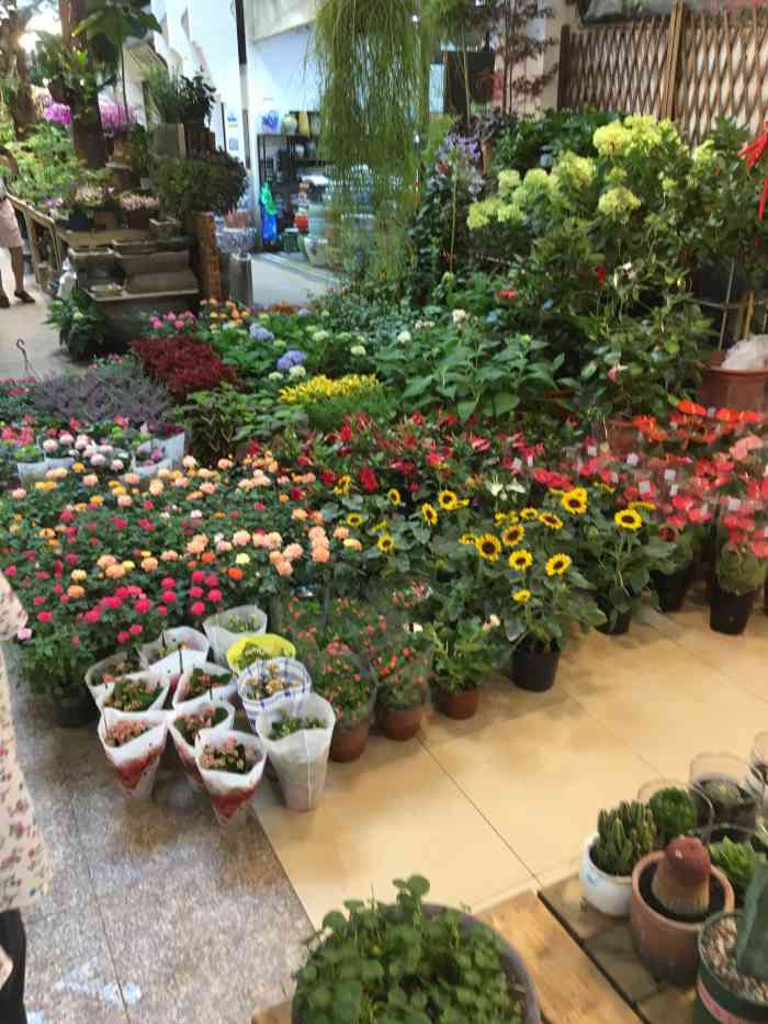 花倾城鲜花(浦东花鸟市场店)