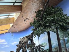 -延庆地质公园博物馆