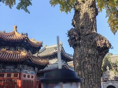 -北京艺术博物馆(万寿寺)