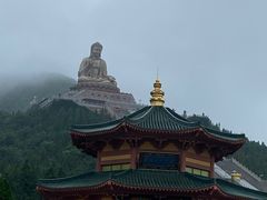 -龙口南山旅游景区