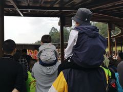 -黄龙溪欢乐田园