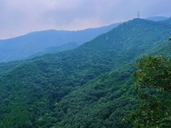 -北京鹫峰国家森林公园