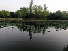 -庆丰包子铺(百旺店)