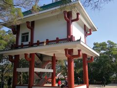 -金鸡山公园
