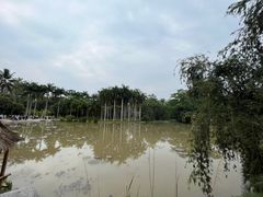 -中国科学院西双版纳热带植物园