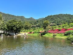 -广州市石门国家森林公园