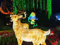 -成都华侨城欢乐里