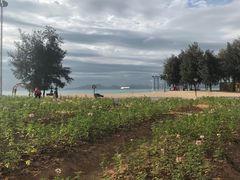 -玫瑰海岸文化旅游度假区