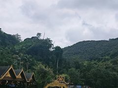 -西双版纳原始森林公园